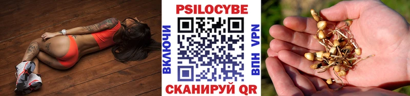 Купить  Боготол  Галлюциногенные грибы ЛСД 